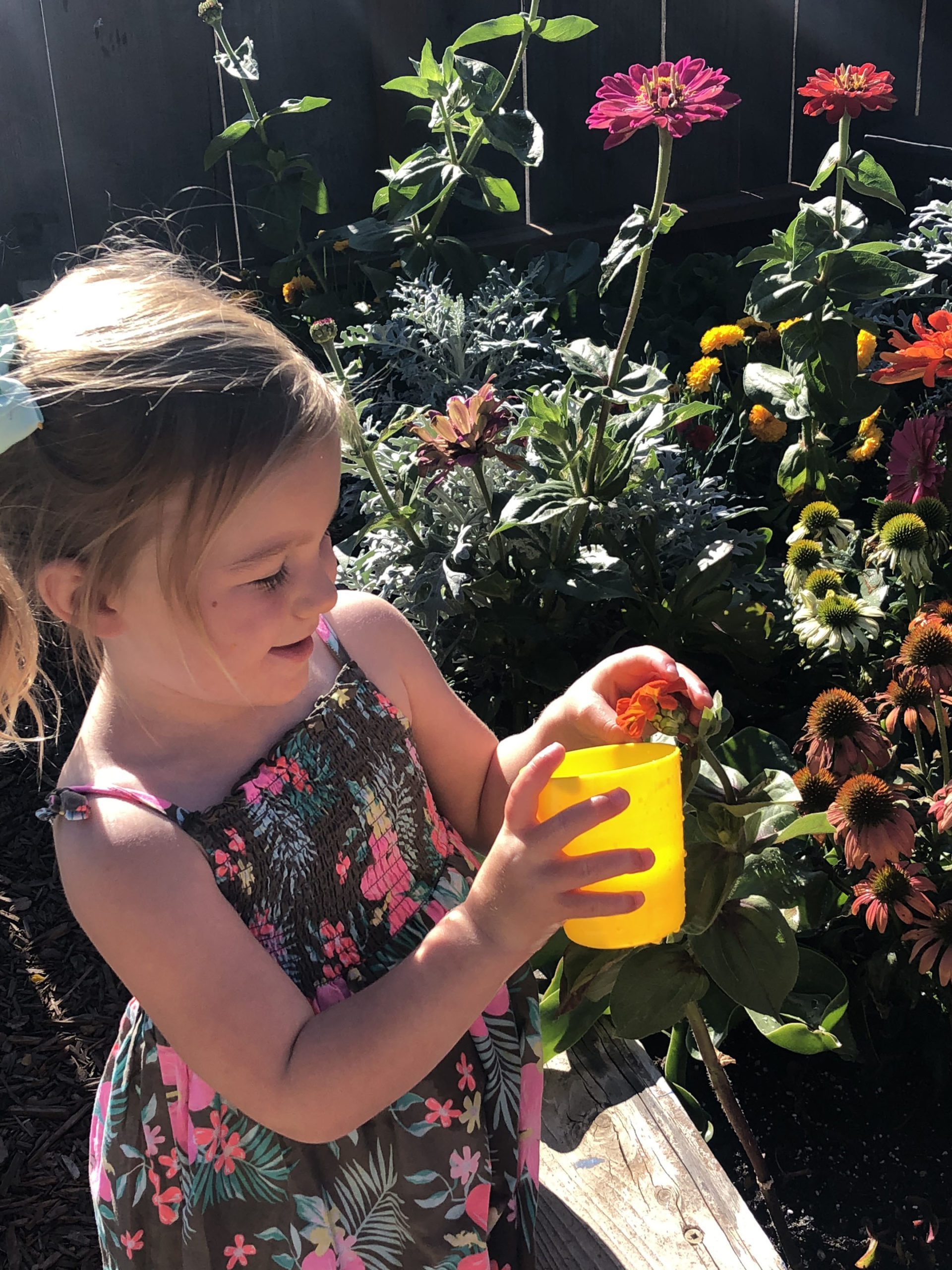 Garden - Student watering the flowers